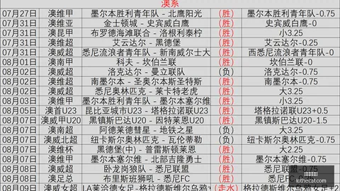 2026赛季墨西联精彩对决百家乐游戏：内卡萨莱昂深度解析