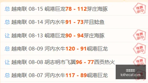 东南亚锦标赛半决赛次回合前瞻：决战之夜，谁能脱颖而出